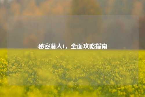 秘密潜入1，全面攻略指南