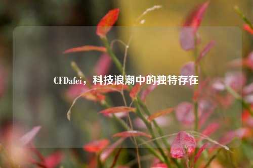 CFDafei，科技浪潮中的独特存在