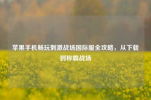 苹果手机畅玩刺激战场国际服全攻略，从下载到称霸战场