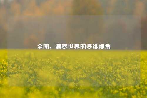 全图，洞察世界的多维视角