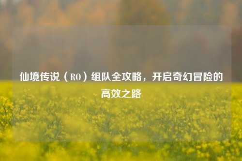 仙境传说（RO）组队全攻略，开启奇幻冒险的高效之路