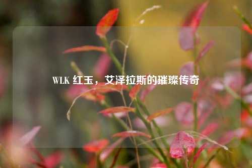 WLK 红玉，艾泽拉斯的璀璨传奇