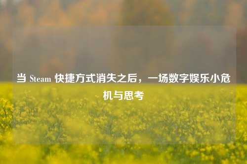 当 Steam 快捷方式消失之后，一场数字娱乐小危机与思考