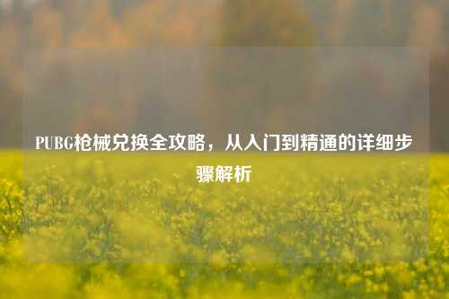 PUBG枪械兑换全攻略，从入门到精通的详细步骤解析
