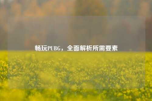 畅玩PUBG，全面解析所需要素