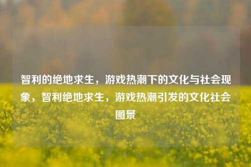 智利的绝地求生，游戏热潮下的文化与社会现象，智利绝地求生，游戏热潮引发的文化社会图景