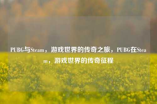 PUBG与Steam，游戏世界的传奇之旅，PUBG在Steam，游戏世界的传奇征程
