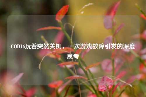 COD16玩着突然关机，一次游戏故障引发的深度思考
