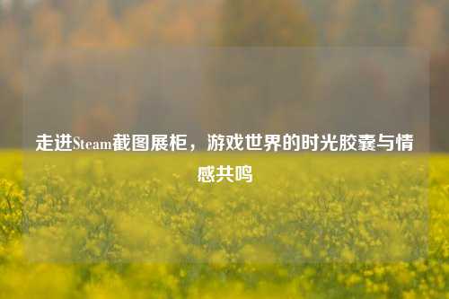 走进Steam截图展柜，游戏世界的时光胶囊与情感共鸣