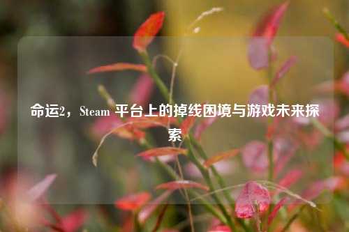 命运2，Steam 平台上的掉线困境与游戏未来探索