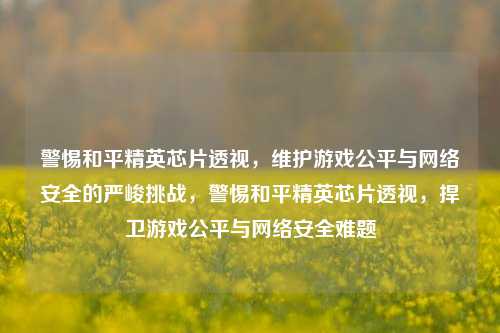 警惕和平精英芯片透视，维护游戏公平与网络安全的严峻挑战，警惕和平精英芯片透视，捍卫游戏公平与网络安全难题