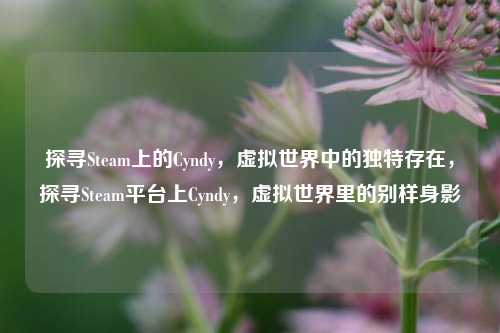 探寻Steam上的Cyndy，虚拟世界中的独特存在，探寻Steam平台上Cyndy，虚拟世界里的别样身影
