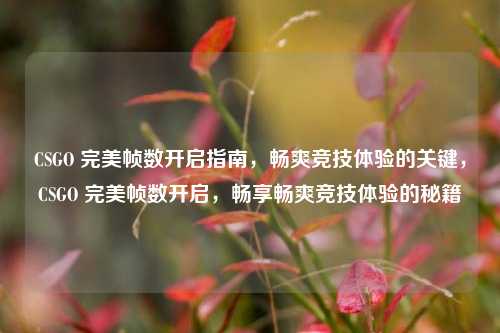 CSGO 完美帧数开启指南，畅爽竞技体验的关键，CSGO 完美帧数开启，畅享畅爽竞技体验的秘籍