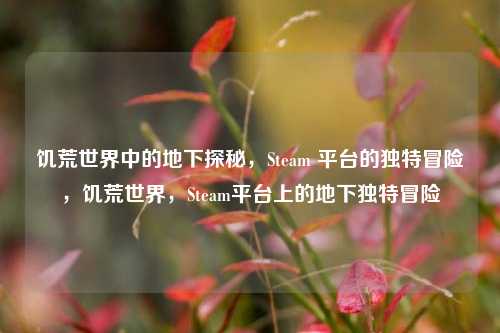 饥荒世界中的地下探秘，Steam 平台的独特冒险，饥荒世界，Steam平台上的地下独特冒险