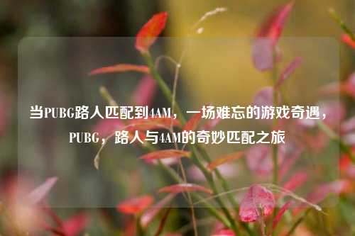 当PUBG路人匹配到4AM，一场难忘的游戏奇遇，PUBG，路人与4AM的奇妙匹配之旅