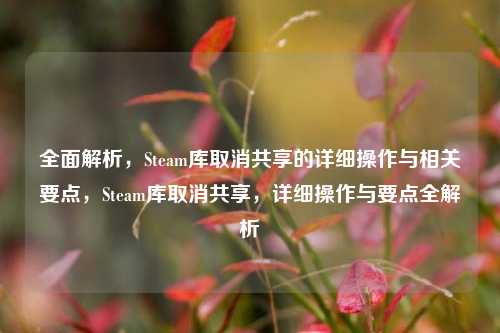 全面解析，Steam库取消共享的详细操作与相关要点，Steam库取消共享，详细操作与要点全解析