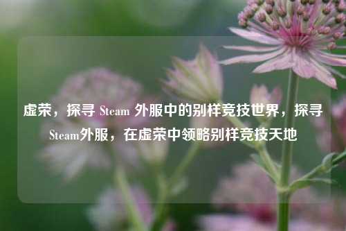 虚荣，探寻 Steam 外服中的别样竞技世界，探寻Steam外服，在虚荣中领略别样竞技天地
