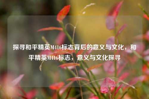 探寻和平精英M416标志背后的意义与文化，和平精英M416标志，意义与文化探寻