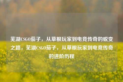 芜湖CSGO茄子，从草根玩家到电竞传奇的蜕变之路，芜湖CSGO茄子，从草根玩家到电竞传奇的进阶历程