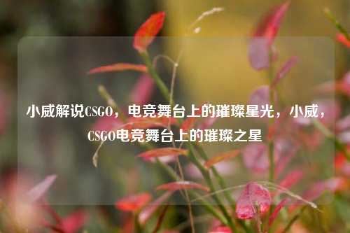 小威解说CSGO，电竞舞台上的璀璨星光，小威，CSGO电竞舞台上的璀璨之星