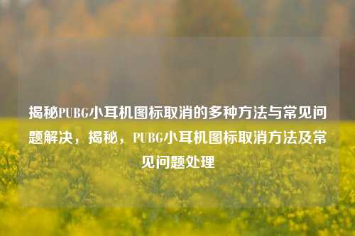 揭秘PUBG小耳机图标取消的多种方法与常见问题解决，揭秘，PUBG小耳机图标取消方法及常见问题处理