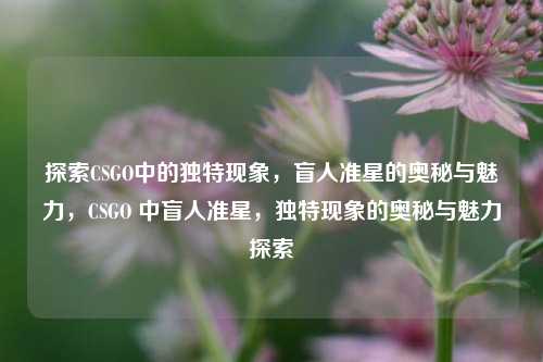 探索CSGO中的独特现象，盲人准星的奥秘与魅力，CSGO 中盲人准星，独特现象的奥秘与魅力探索