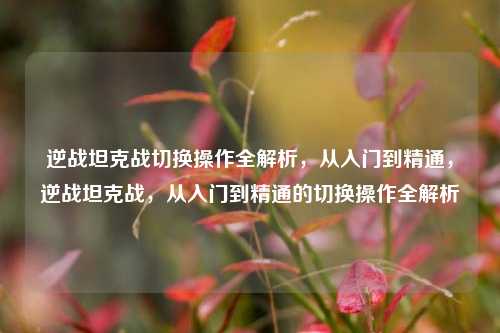 逆战坦克战切换操作全解析，从入门到精通，逆战坦克战，从入门到精通的切换操作全解析