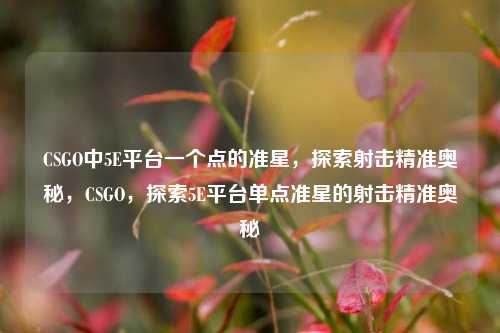 CSGO中5E平台一个点的准星，探索射击精准奥秘，CSGO，探索5E平台单点准星的射击精准奥秘