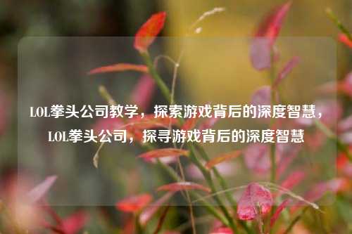 LOL拳头公司教学，探索游戏背后的深度智慧，LOL拳头公司，探寻游戏背后的深度智慧