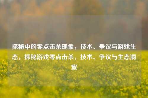 探秘中的零点击杀现象，技术、争议与游戏生态，探秘游戏零点击杀，技术、争议与生态洞察