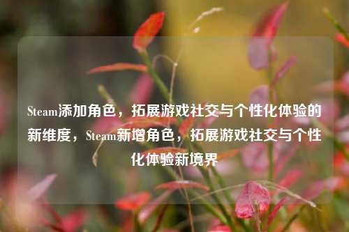 Steam添加角色，拓展游戏社交与个性化体验的新维度，Steam新增角色，拓展游戏社交与个性化体验新境界