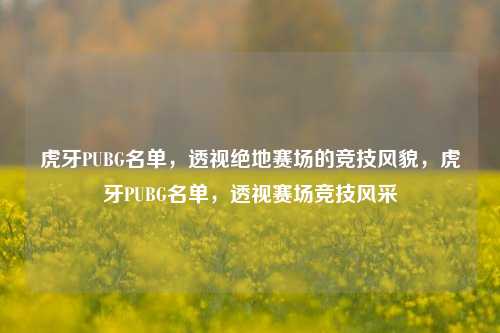 虎牙PUBG名单，透视绝地赛场的竞技风貌，虎牙PUBG名单，透视赛场竞技风采