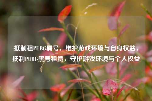 抵制租PUBG黑号，维护游戏环境与自身权益，抵制PUBG黑号租赁，守护游戏环境与个人权益