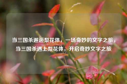 当三国杀邂逅梨花体，一场奇妙的文字之旅，当三国杀遇上梨花体，开启奇妙文字之旅