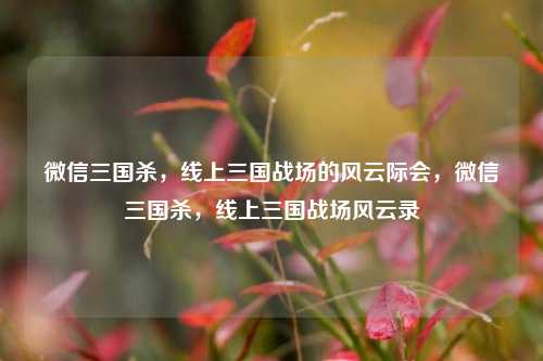 微信三国杀，线上三国战场的风云际会，微信三国杀，线上三国战场风云录