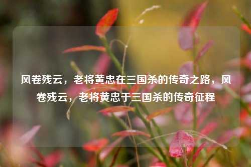 风卷残云，老将黄忠在三国杀的传奇之路，风卷残云，老将黄忠于三国杀的传奇征程