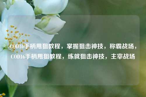 COD16手柄甩狙教程，掌握狙击神技，称霸战场，COD16手柄甩狙教程，练就狙击神技，主宰战场