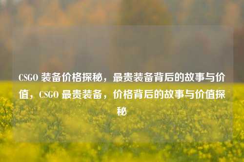 CSGO 装备价格探秘，最贵装备背后的故事与价值，CSGO 最贵装备，价格背后的故事与价值探秘