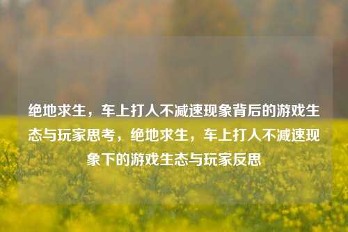绝地求生，车上打人不减速现象背后的游戏生态与玩家思考，绝地求生，车上打人不减速现象下的游戏生态与玩家反思