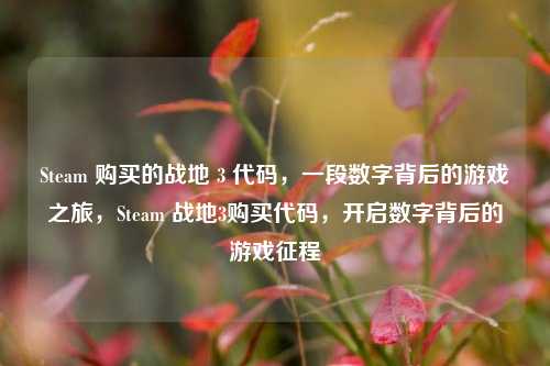 Steam 购买的战地 3 代码，一段数字背后的游戏之旅，Steam 战地3购买代码，开启数字背后的游戏征程