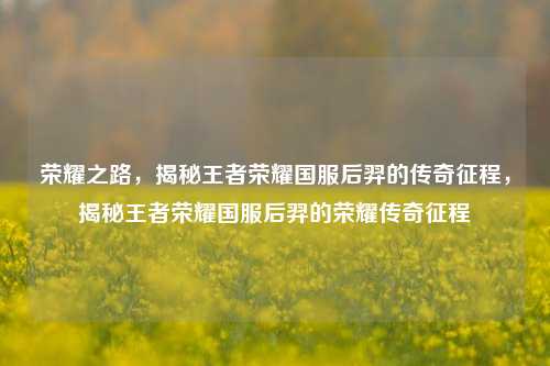 荣耀之路，揭秘王者荣耀国服后羿的传奇征程，揭秘王者荣耀国服后羿的荣耀传奇征程