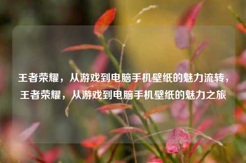 王者荣耀，从游戏到电脑手机壁纸的魅力流转，王者荣耀，从游戏到电脑手机壁纸的魅力之旅