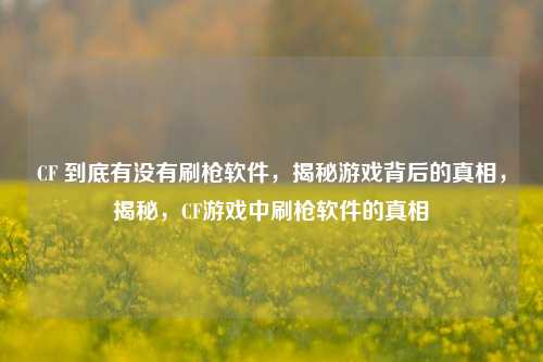 CF 到底有没有刷枪软件，揭秘游戏背后的真相，揭秘，CF游戏中刷枪软件的真相