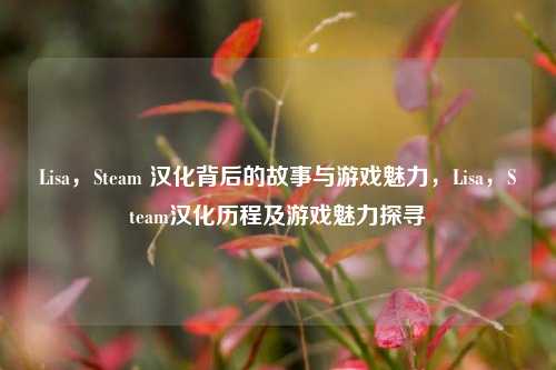 Lisa，Steam 汉化背后的故事与游戏魅力，Lisa，Steam汉化历程及游戏魅力探寻