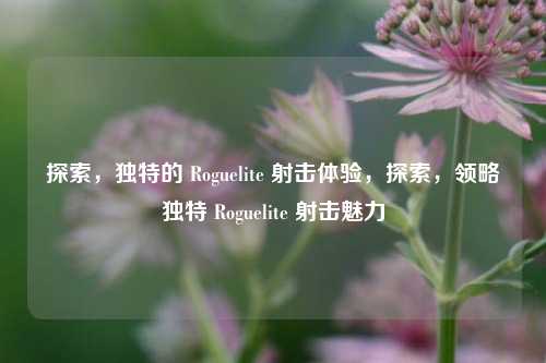 探索，独特的 Roguelite 射击体验，探索，领略独特 Roguelite 射击魅力