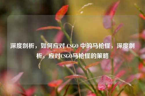 深度剖析，如何应对 CSGO 中的马枪怪，深度剖析，应对CSGO马枪怪的策略