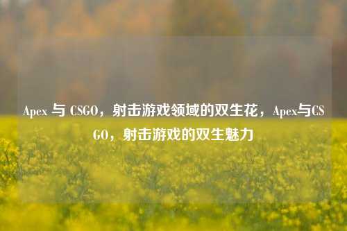 Apex 与 CSGO，射击游戏领域的双生花，Apex与CSGO，射击游戏的双生魅力