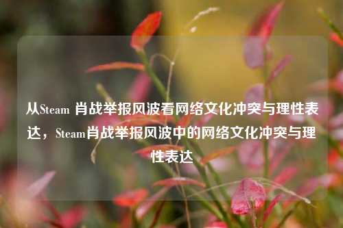 从Steam 肖战举报风波看网络文化冲突与理性表达，Steam肖战举报风波中的网络文化冲突与理性表达