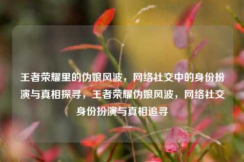 王者荣耀里的伪娘风波，网络社交中的身份扮演与真相探寻，王者荣耀伪娘风波，网络社交身份扮演与真相追寻