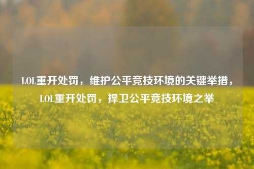 LOL重开处罚，维护公平竞技环境的关键举措，LOL重开处罚，捍卫公平竞技环境之举